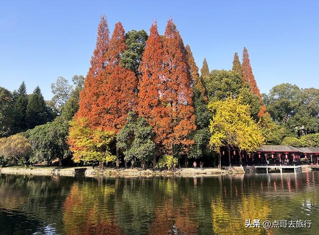 成都被私藏的彩林公园，流金溢彩，充满老城烟火气，地铁公交直达