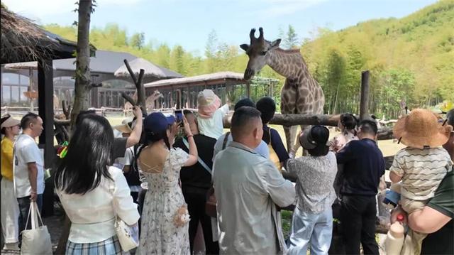 暑假回顾 | 拾野趣，访民俗，知天文，湄好一夏