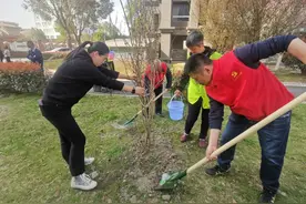 “白领”与“白发”结对，楼道“智囊团”出谋划策……图片