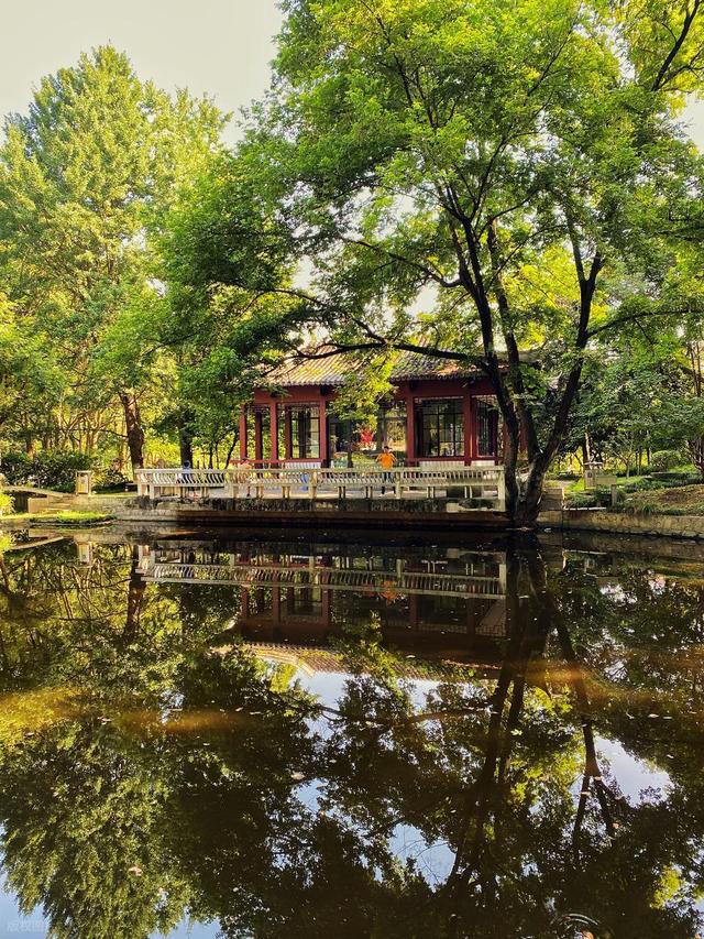 南京这些小众公园被严重低估了，人少景美还免费，看看你去过几个
