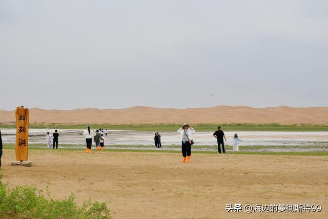 海边游记｜沙海狂飙与绿洲寻踪：内蒙古腾格里沙漠一日“历险记”