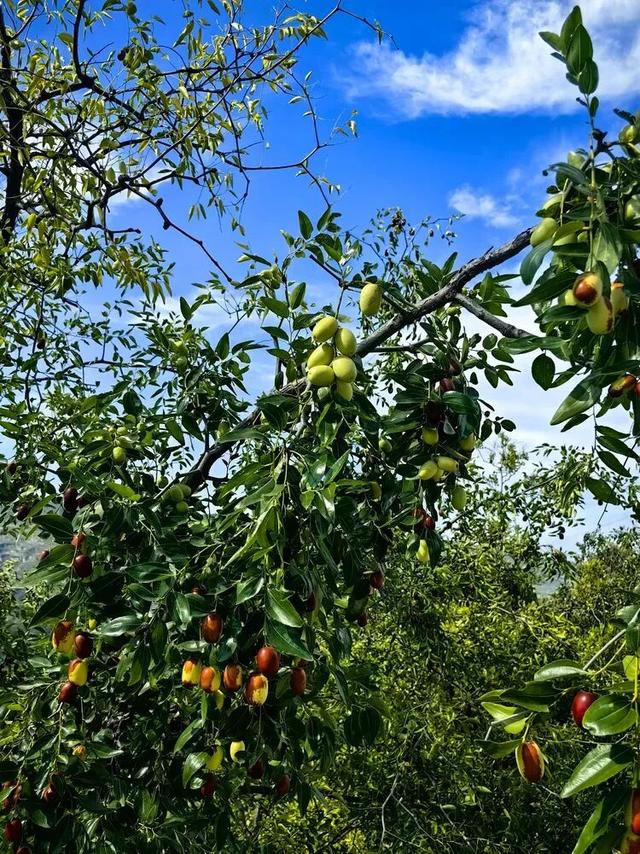 山西吕梁·临县尧昌里村