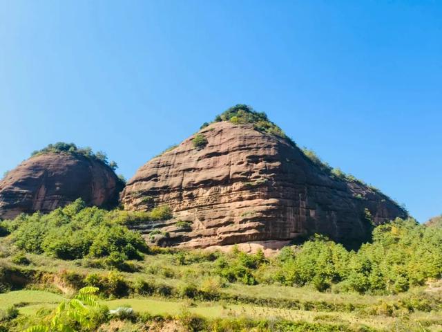 天嘉路上秋意浓