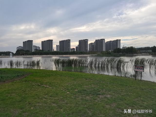 人工智能是国家科技的又一次革命