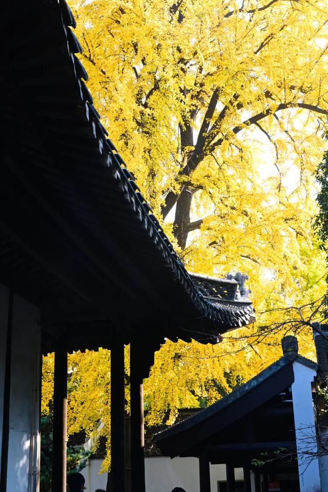 这里是江南诗词最多的城市,它的美有谁懂?