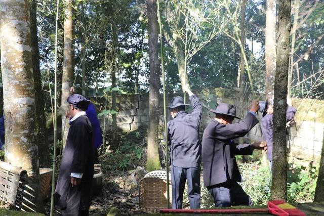 探秘“三遗产” | 一片森林与民族文化的交融共生