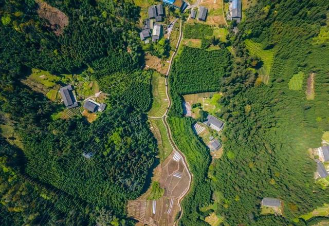 世界上只有中国四川省雅安市才有的 “全球独一无二的 5 大奇景”