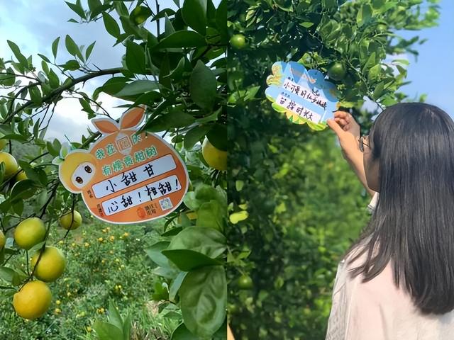 文旅项目加快推进！肇庆这里将有大惊喜→