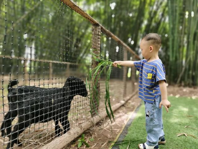 乐山本地人私藏！30个小众打卡地，颜值高还不挤！