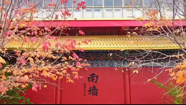 初冬诸城，小城意暖正当时