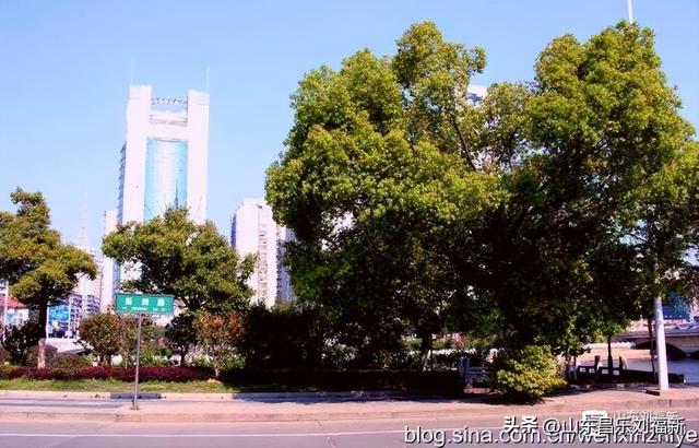 胜利路—民德路—新洲路（江西之旅第廿四篇）