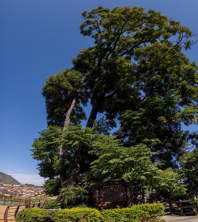 天下彝家第一村——迤沙拉