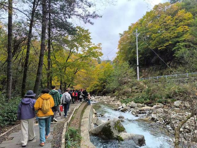 排队游览光雾山