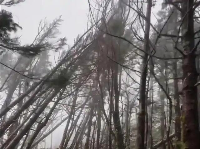 失联 5 人均已遇难！被曝死状惨烈，知情人曝真相，没一个值得同情