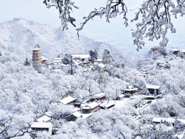 重磅福利！陇东南八大景区联票上线，一票省钱游
