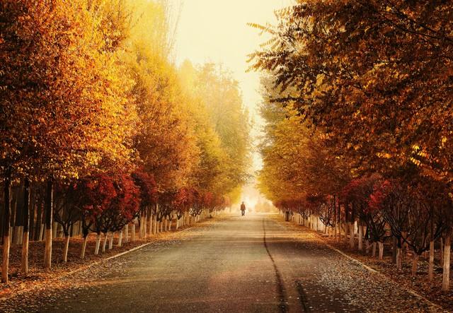 一年四季，哪个季节景色最美？