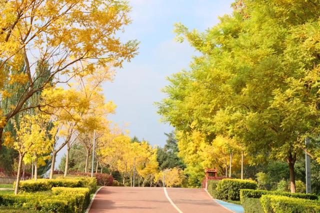 【白银文旅】秋韵满城区！白银区秋日美景陆续上新