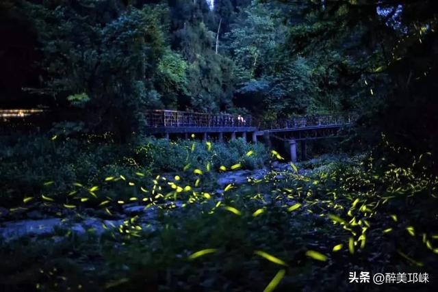 又双叒叕上央视啦→