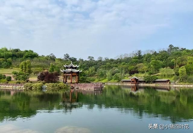 四川“黑马”资阳：成都没料到，内江没料到，今成全国瞩目焦点！