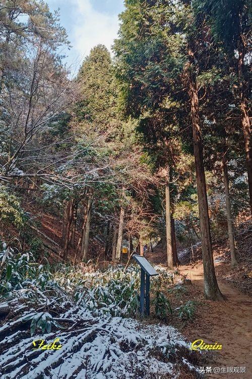 影记 | 衢州钱江源国家森林公园