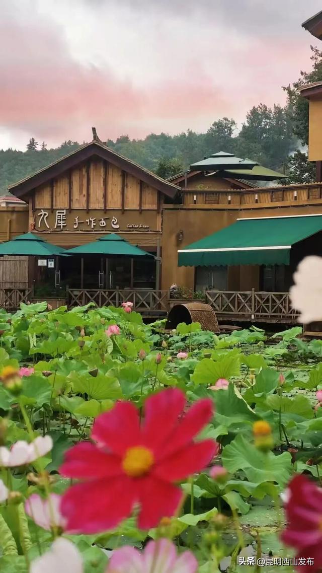 旅居云南哪合适？西山区这个村入选试点→