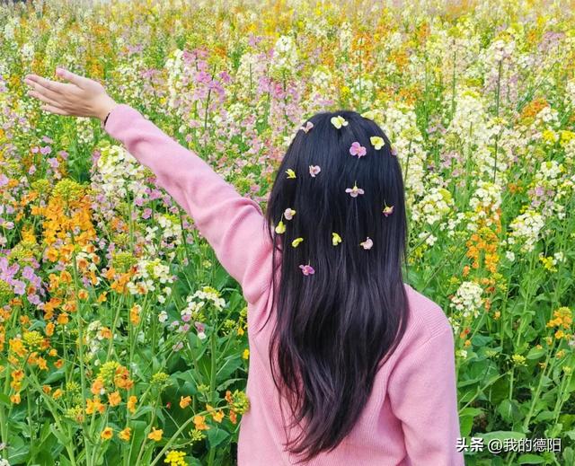 黄了！德阳人彻底坐不住了！这个周末就去！