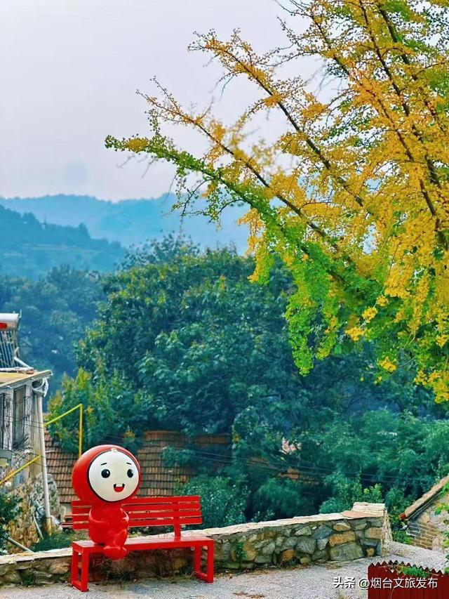 【乐游烟台】躲进烟台福山的民宿里，一起把日子过成诗！