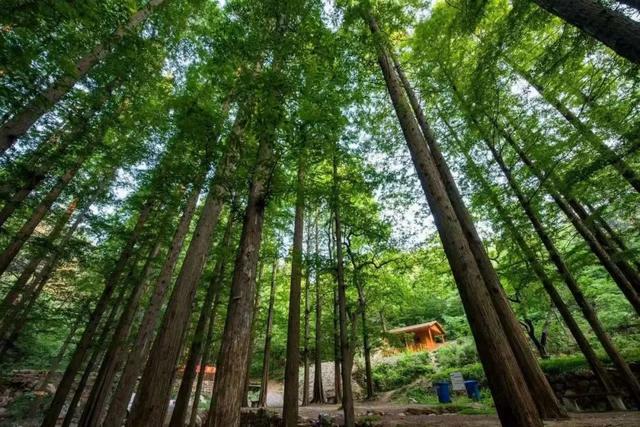 不光有“V超”，还有风景在等你丨跟着赛事去旅行•山水临朐