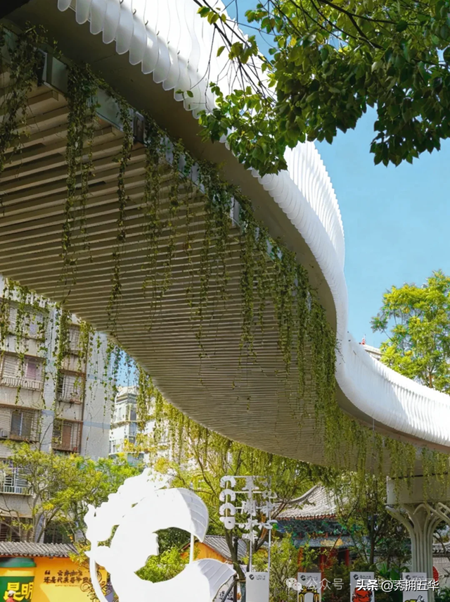 在翠湖与老街之间，生长出的昆明慢生活样本