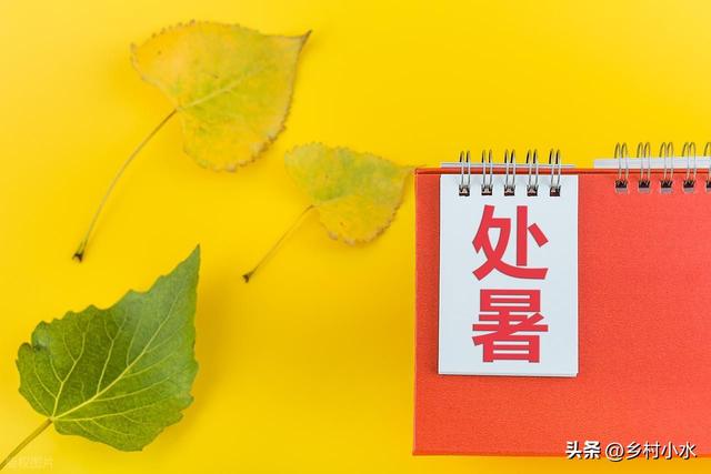 今日“处暑”，老人说最怕“处暑一日雨”，处暑下雨啥预兆？