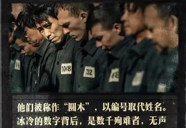 为啥731口碑差还被官方挺？因为有人想掩盖罪行，但真相该被知晓