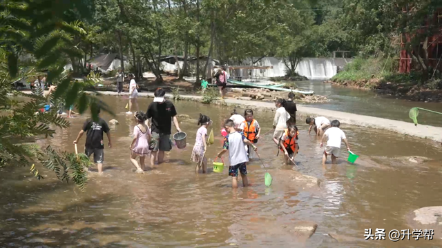 枞树滩升级焕新 成都蒲江打造夏日清凉避暑新地标