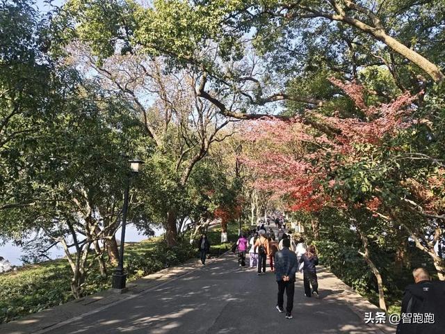 2025 杭州西湖 City Walk 留下足迹