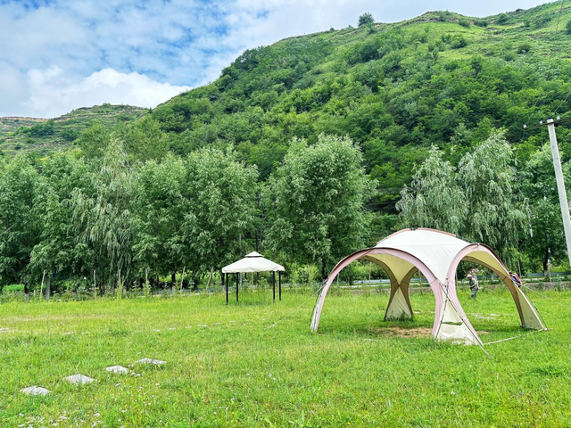 武山县杨河镇：山水酿清凉 云溪享夏梦（组图）