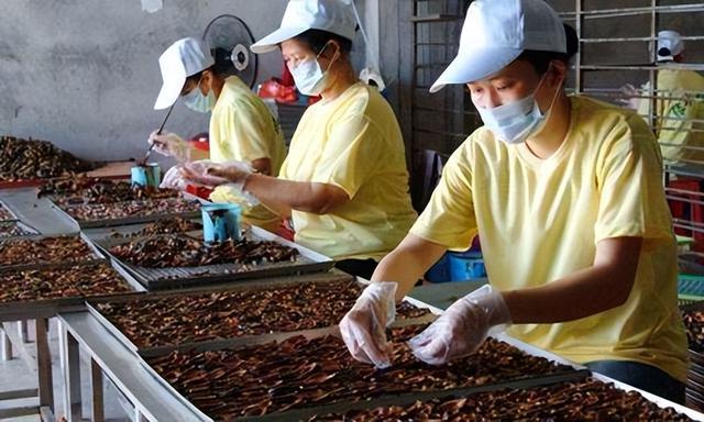 1亿人戒不掉的致癌零食：明明害人无数，为何不禁售呢？