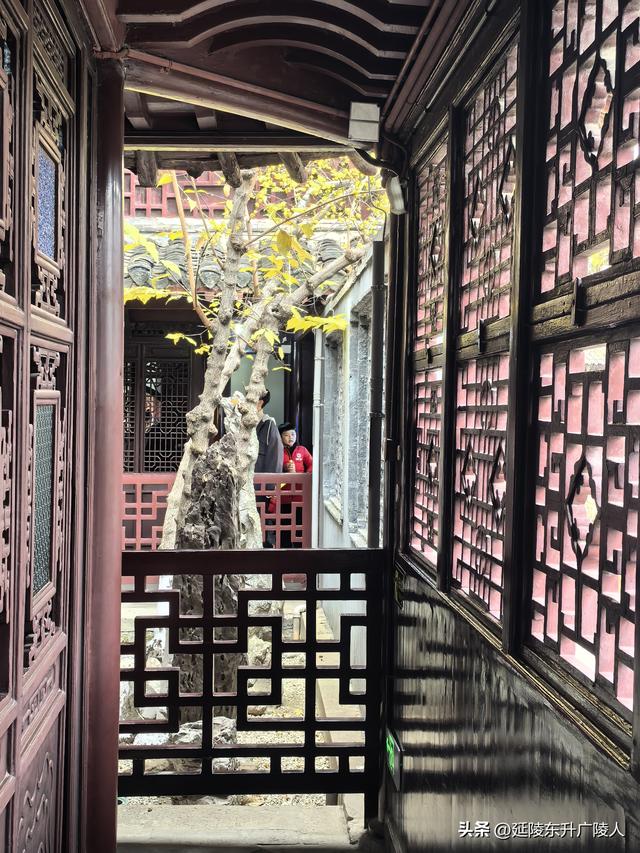 冬游如皋水绘园 亭台楼阁才子佳人水相会 匠心独运天地人造似天成