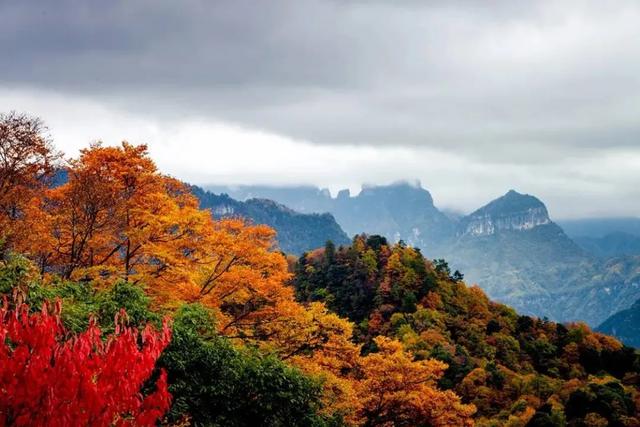 四川光雾山：这片680平方公里的红叶海洋，藏着你不知道的秘密