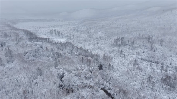 漠河下雪了