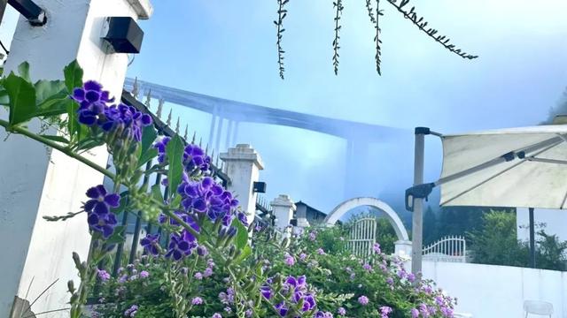民宿 │ 绥阳798民宿，把夏天过成25℃的清凉