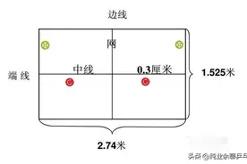 乒乓球的秘密——发球图片
