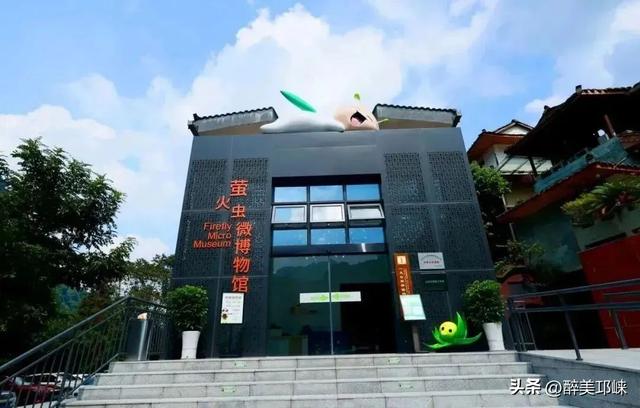 成都天台山：擦亮萤火虫IP，生态保护与经济效益双丰收‌
