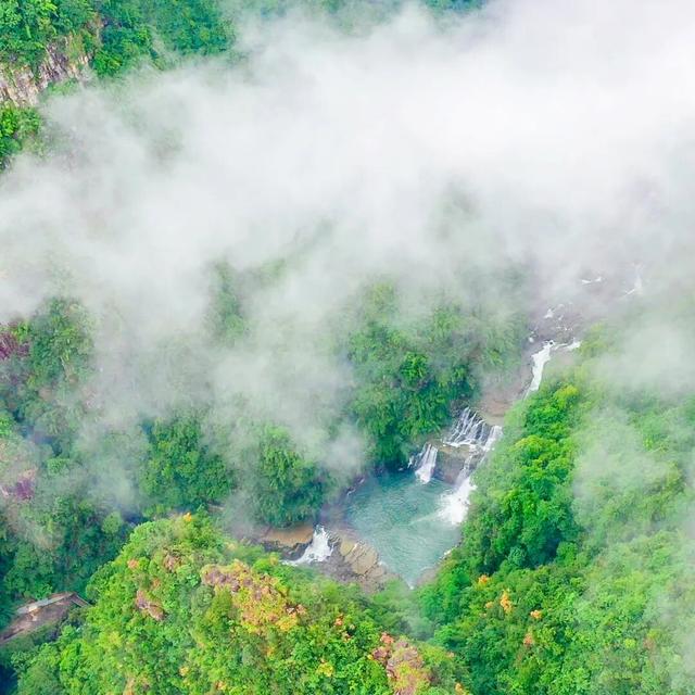 韶关晚秋“神仙景致”：云海、奇峰、秋叶奏响绝美“三重奏”！
