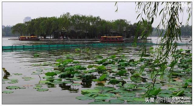 山东行游影记（12）—济南大明湖（一）