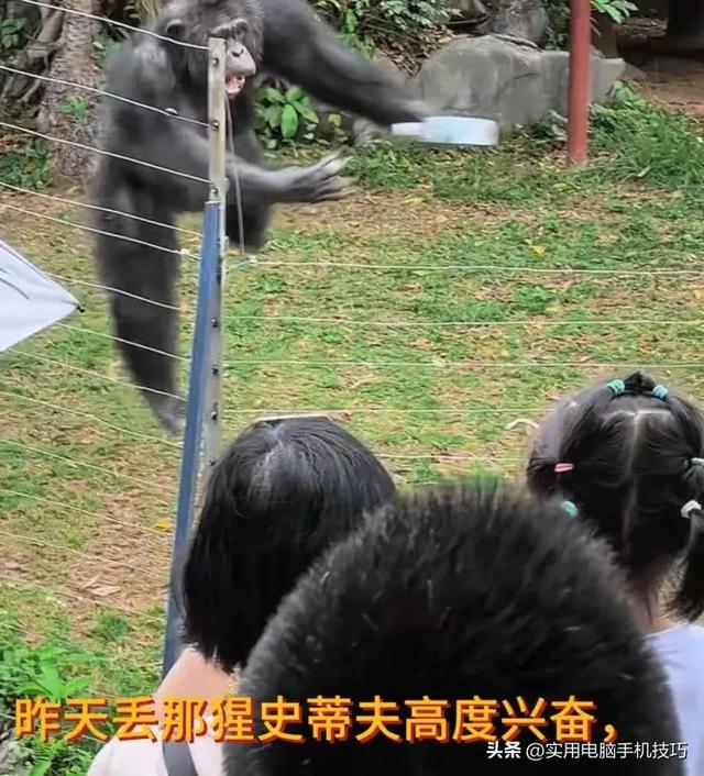 雪豹咬人内幕曝出！村支书还原真相	，央视发文怒批，当事人被打脸