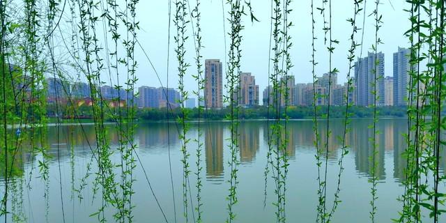 去了一趟抚州，说点真心话，被抚州惊到了！