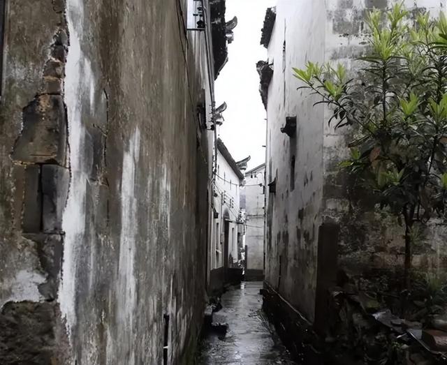 浙江金华20个最美中国传统村落，藏着婺州秀丽繁华遗风