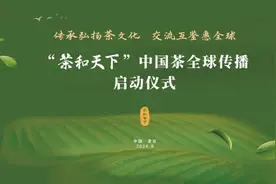 日照绿茶！再获殊荣！图片