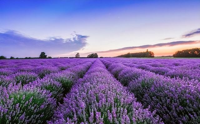 新疆待了两年，有些话不说憋不住，新疆最大的特点一般人接受不了