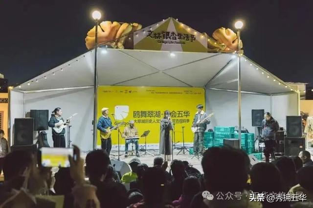 赏银杏、会海鸥，邂逅一场丰容的“昆明式暖冬”