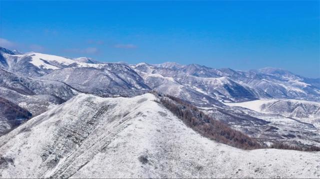 新雪映六盘，诗声越千年！2026这抹银白，藏着最动人的山河共鸣